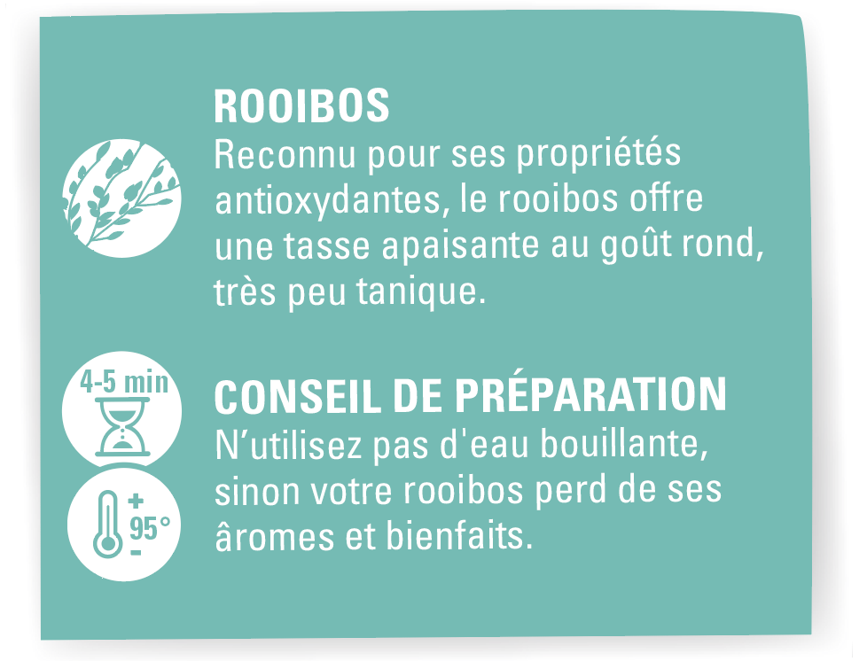 Conseil de preparation rooibos menthe