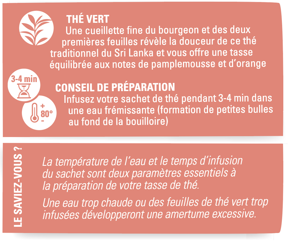 Conseil de preparation thé vert agrumes