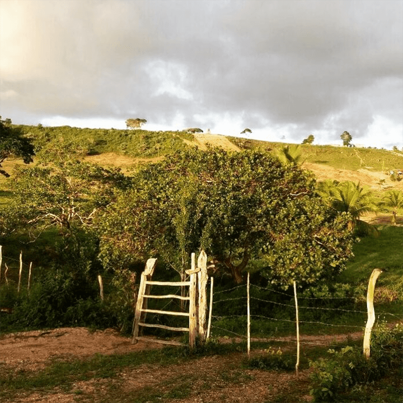 coopéalnor brésil orange Ethiquable bio équitable