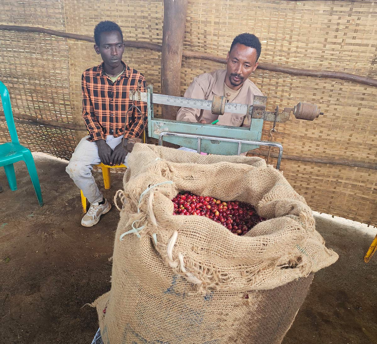 coopérative homa Ethiopie pesé sac cerise café