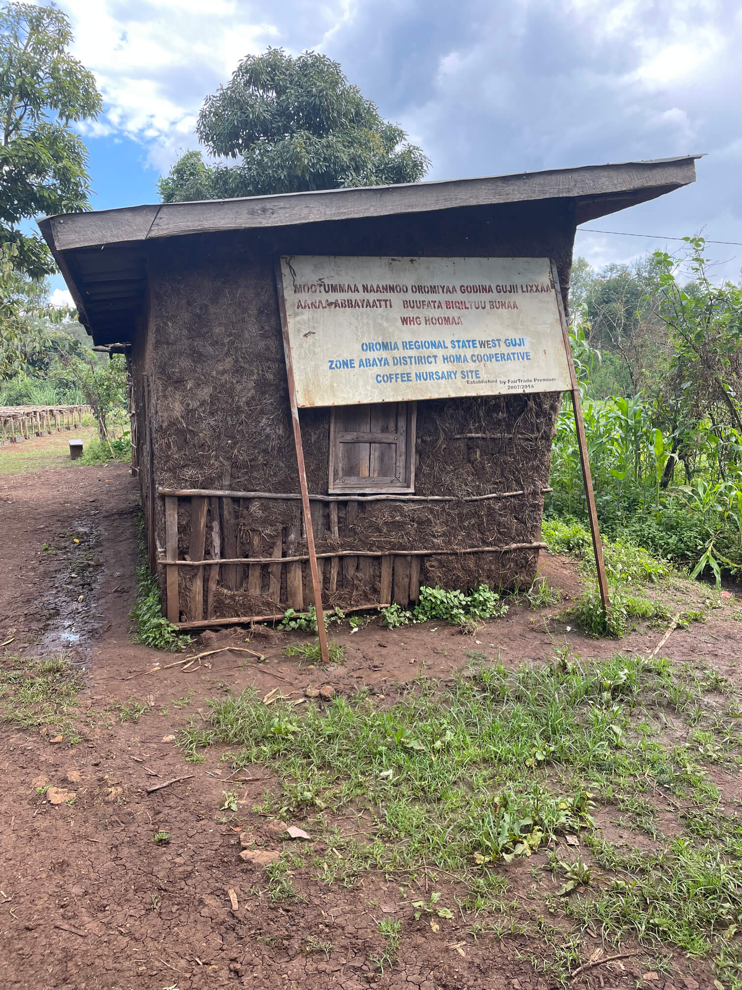 Coopérative Homa en Éthiopie