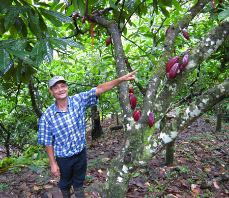 Producteur de cacao bio et équitable au Nicaragua