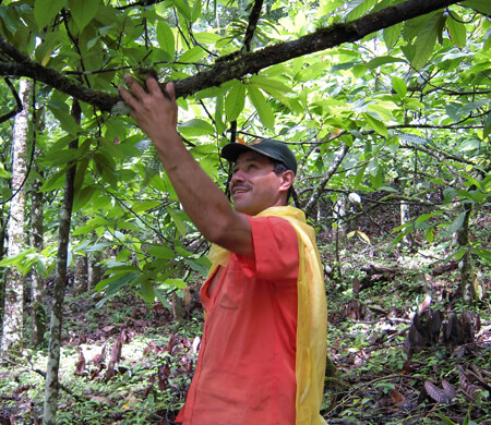 Producteur de cacao d'une coopérative au Nicaragua