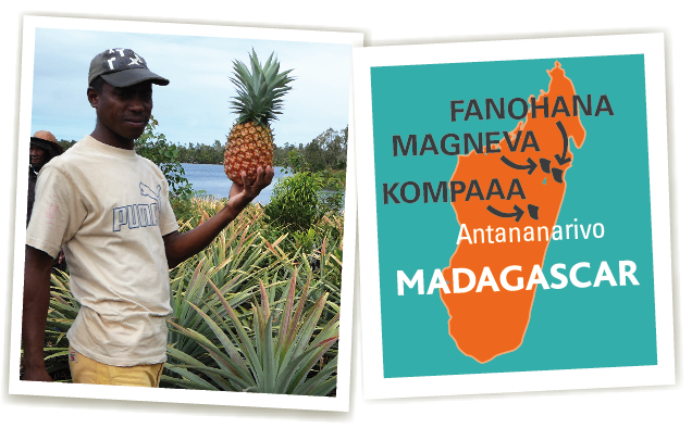 coopératives madagascar ananas ethiquable