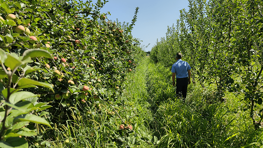 coopérative univert pomme bio equitable france