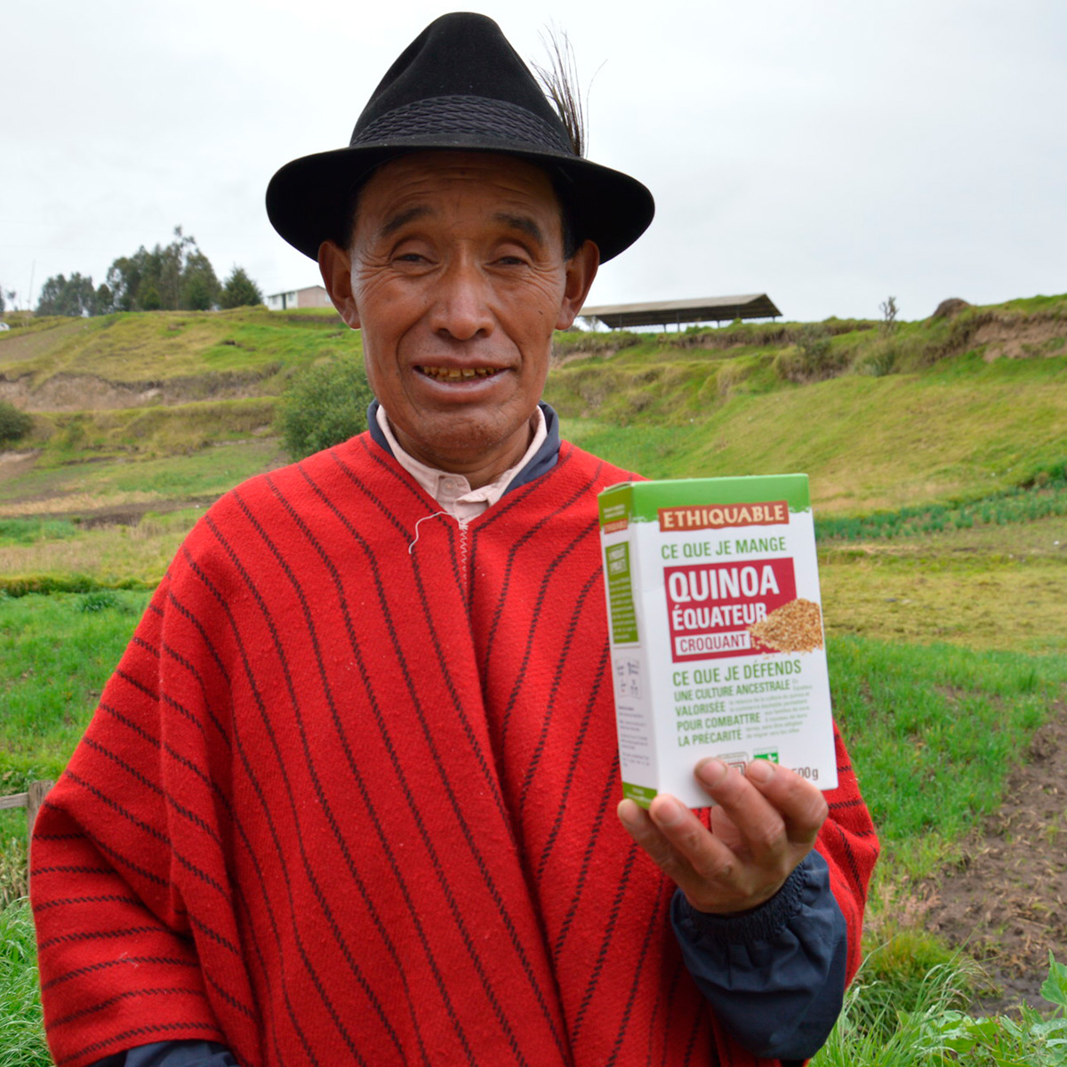 Quinoa d'Equateur : 20 ans de commerce équitable