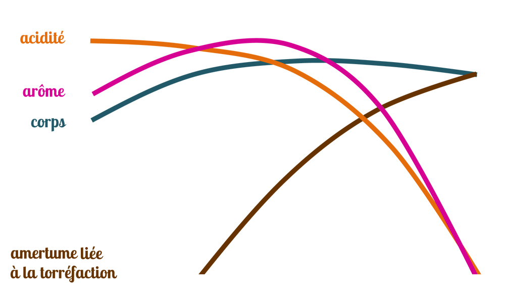 courbe arome acidité corps du café