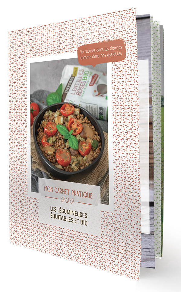 Carnet pratique pour bien cuisiner lentilles, pois chiches et pois cassés