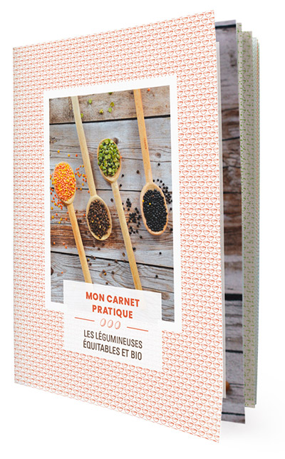 Carnet pratique pour bien cuisiner lentilles, pois chiches et pois cassés
