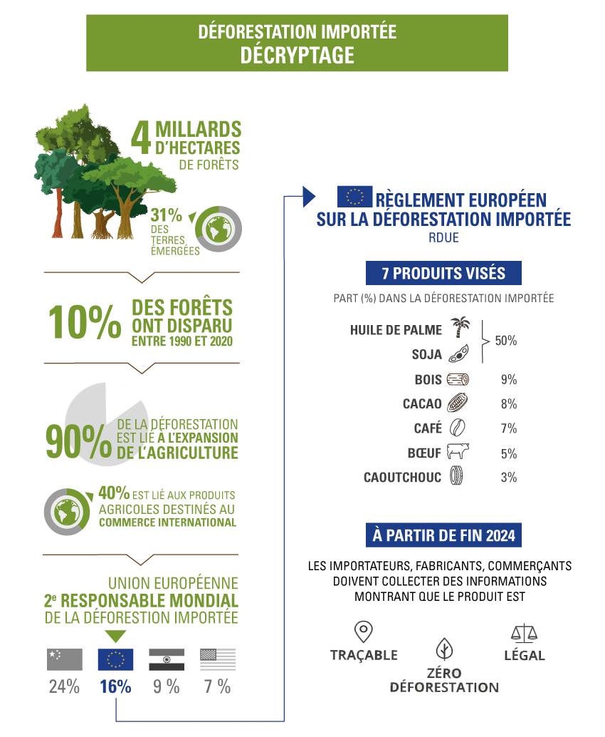 déforestation importée décrystage par Ethiquable