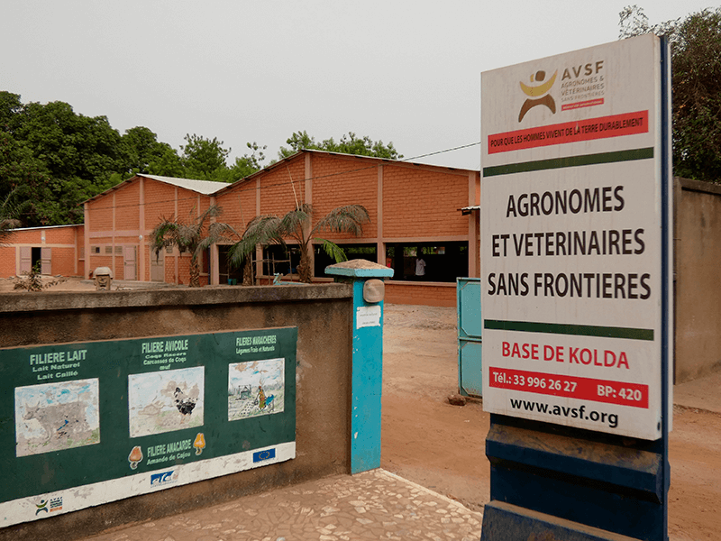 Filière de cajou équitable au Sénégal