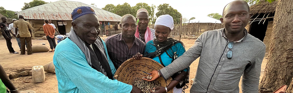 ethicajou au Sénégal