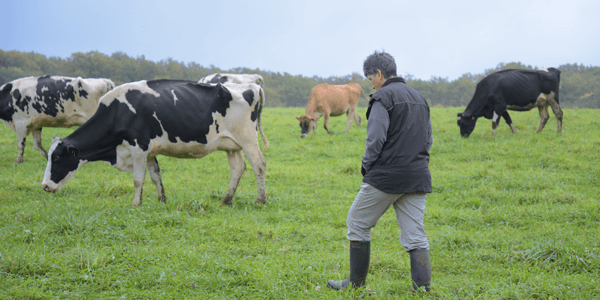 cahier des charges du lait biolait