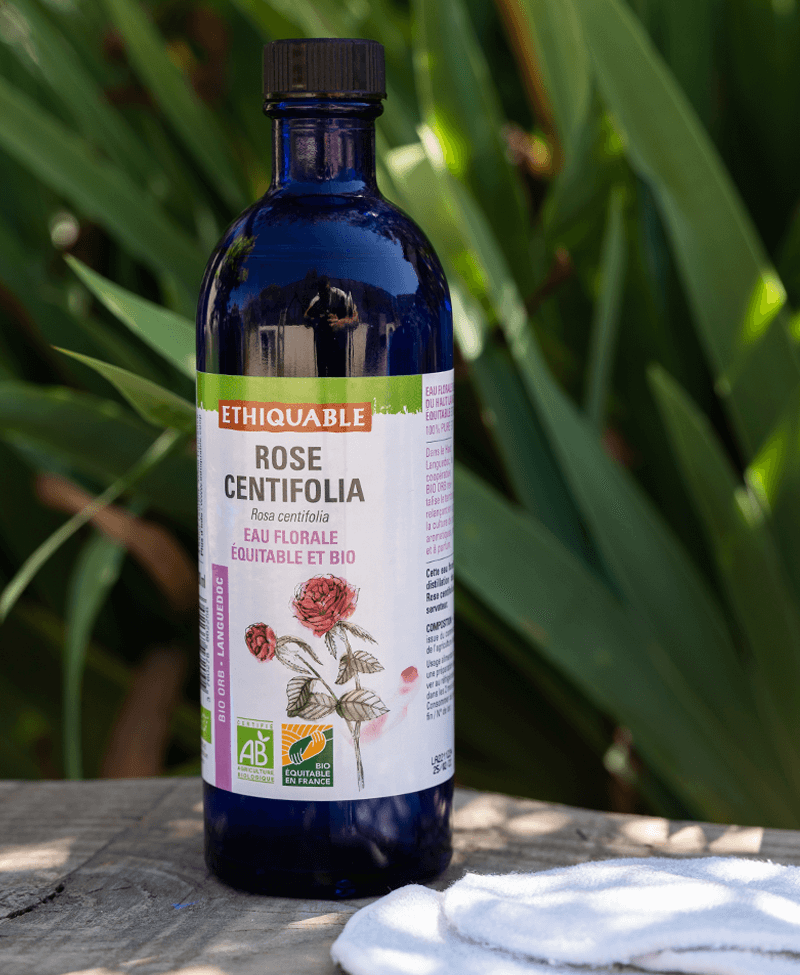 eau florale rose bio equitable ethiquable