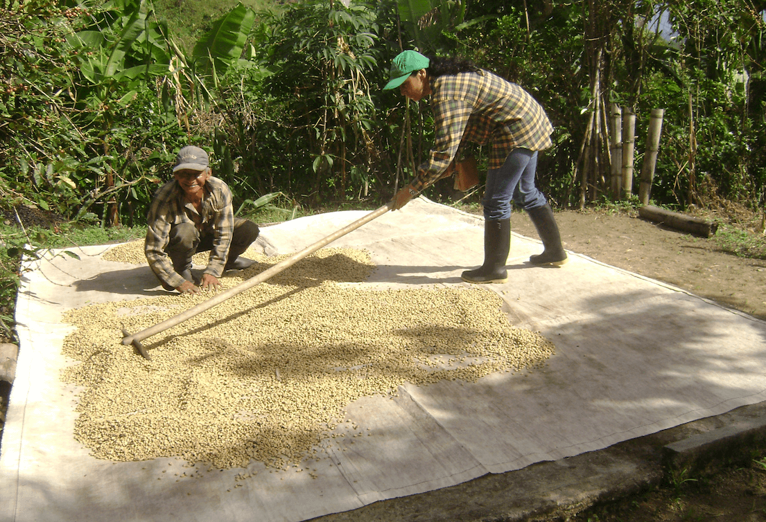 café colombie cosurca