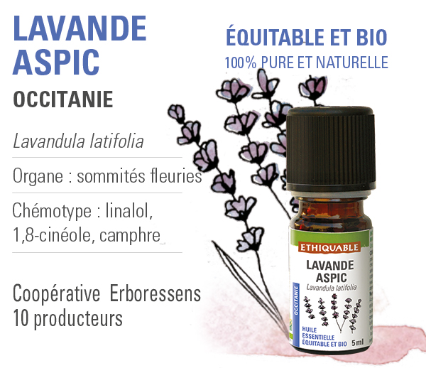 huille essentielle lavande aspic ethiquable