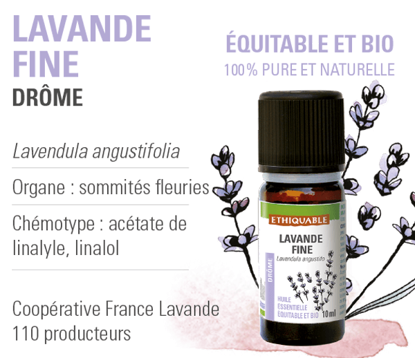 huile-essentielle - lavande fine -equitable-bio-ethiquable