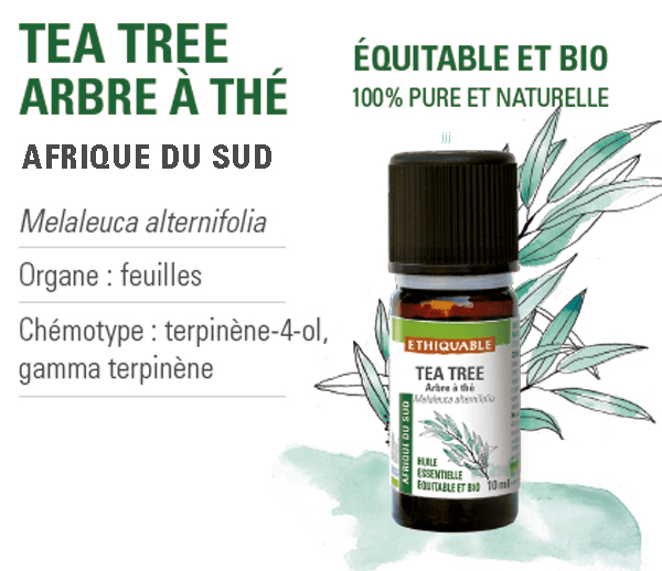 Huiles essentielles tea tree 100% naturelles