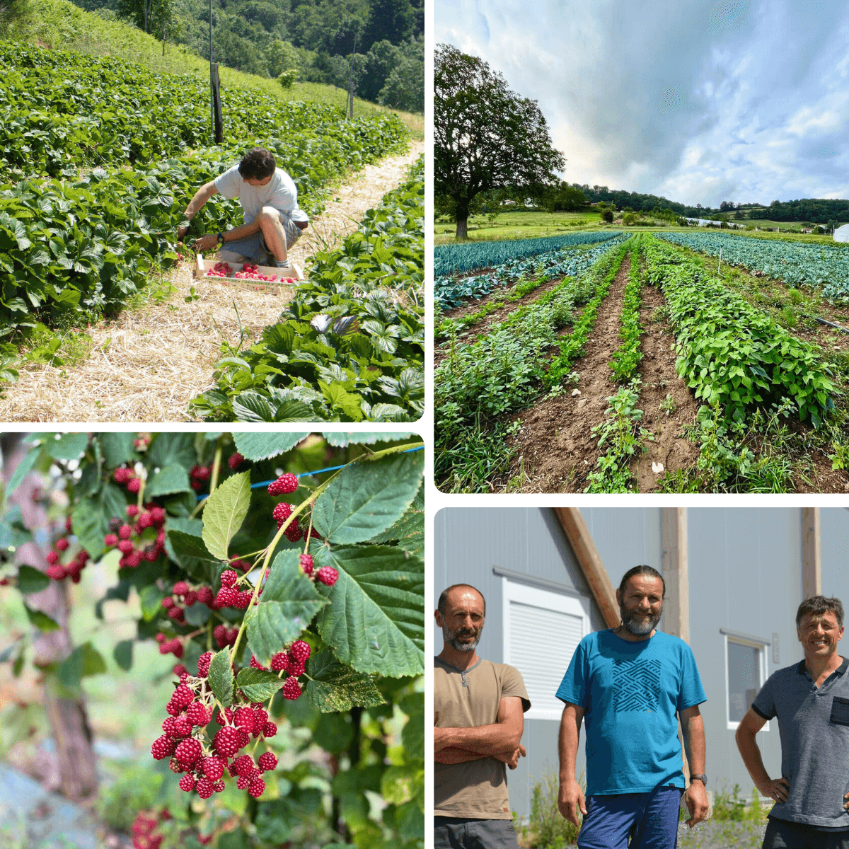 Etic'Monts bio terroir monts du lyonnais