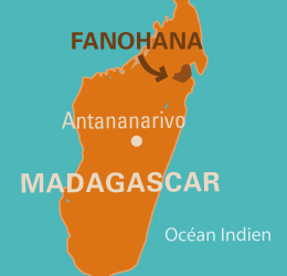 Poivre sauvage bio de Madagascar issu du Commerce Equitable