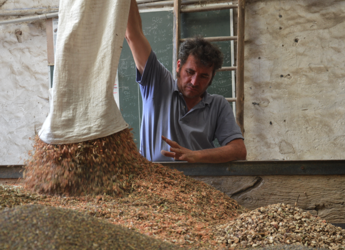 FERME DE CHASSAGNE BIO EQUITABLE  lentille