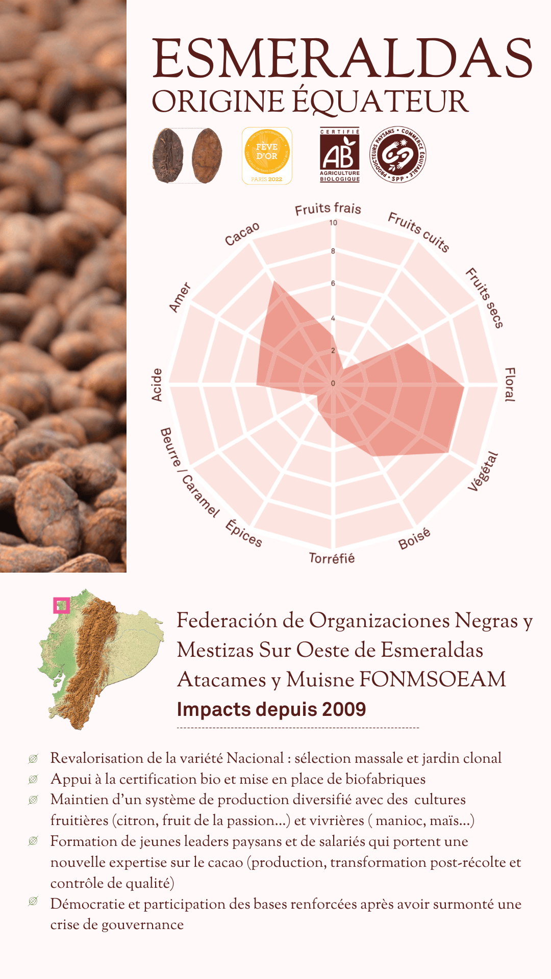 Fève Esmeraldas origine Équateur La cacaosphère bio équitable