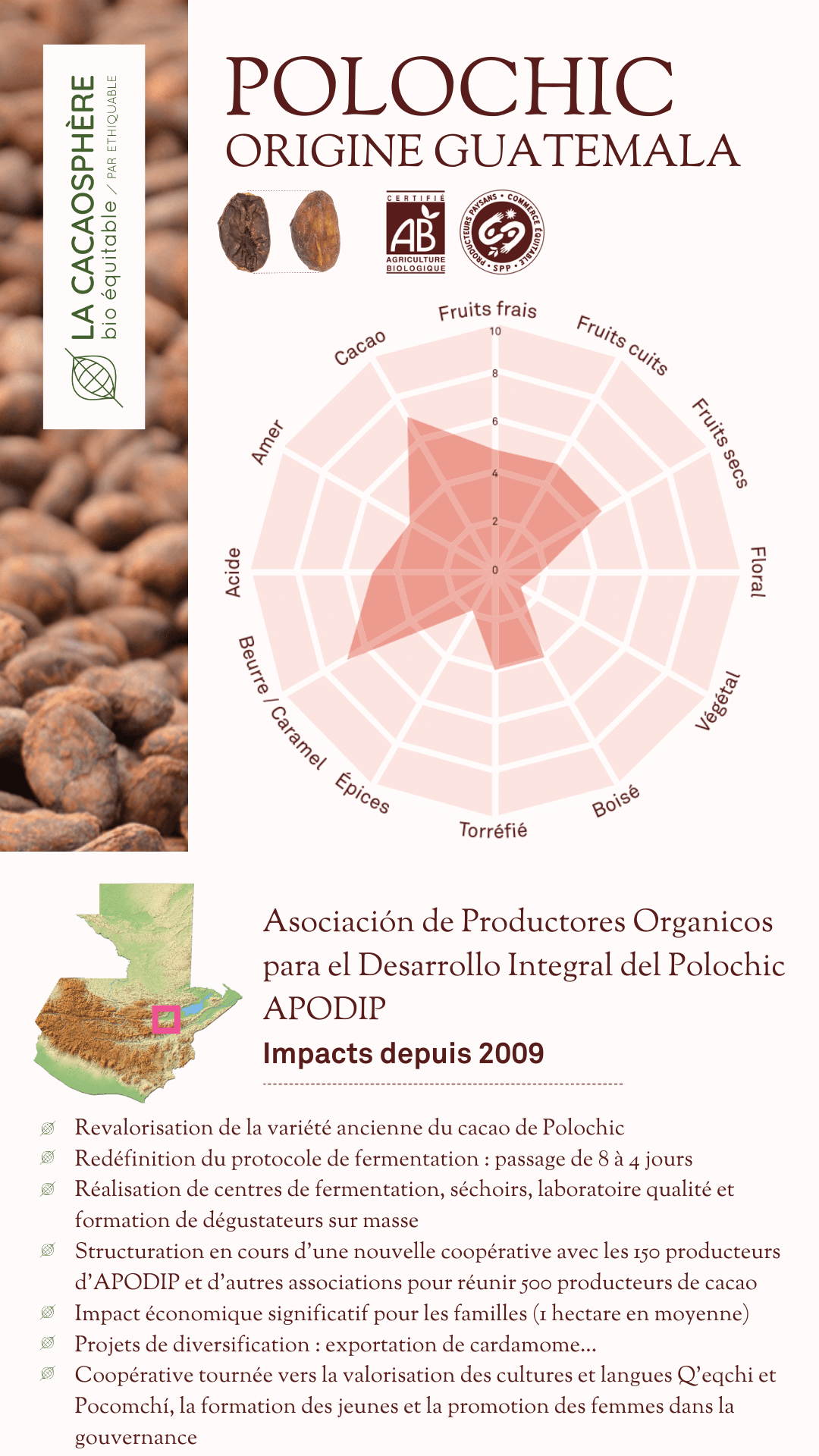 Fève Polochic origine Guatemala La cacaosphère bio équitable