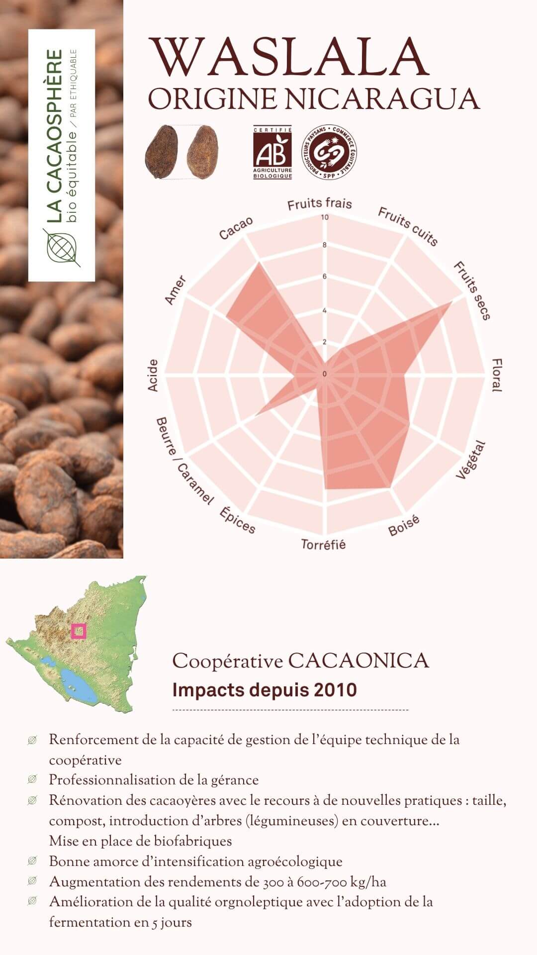 Fève Waslala origine Nicaragua La cacaosphère bio équitable 