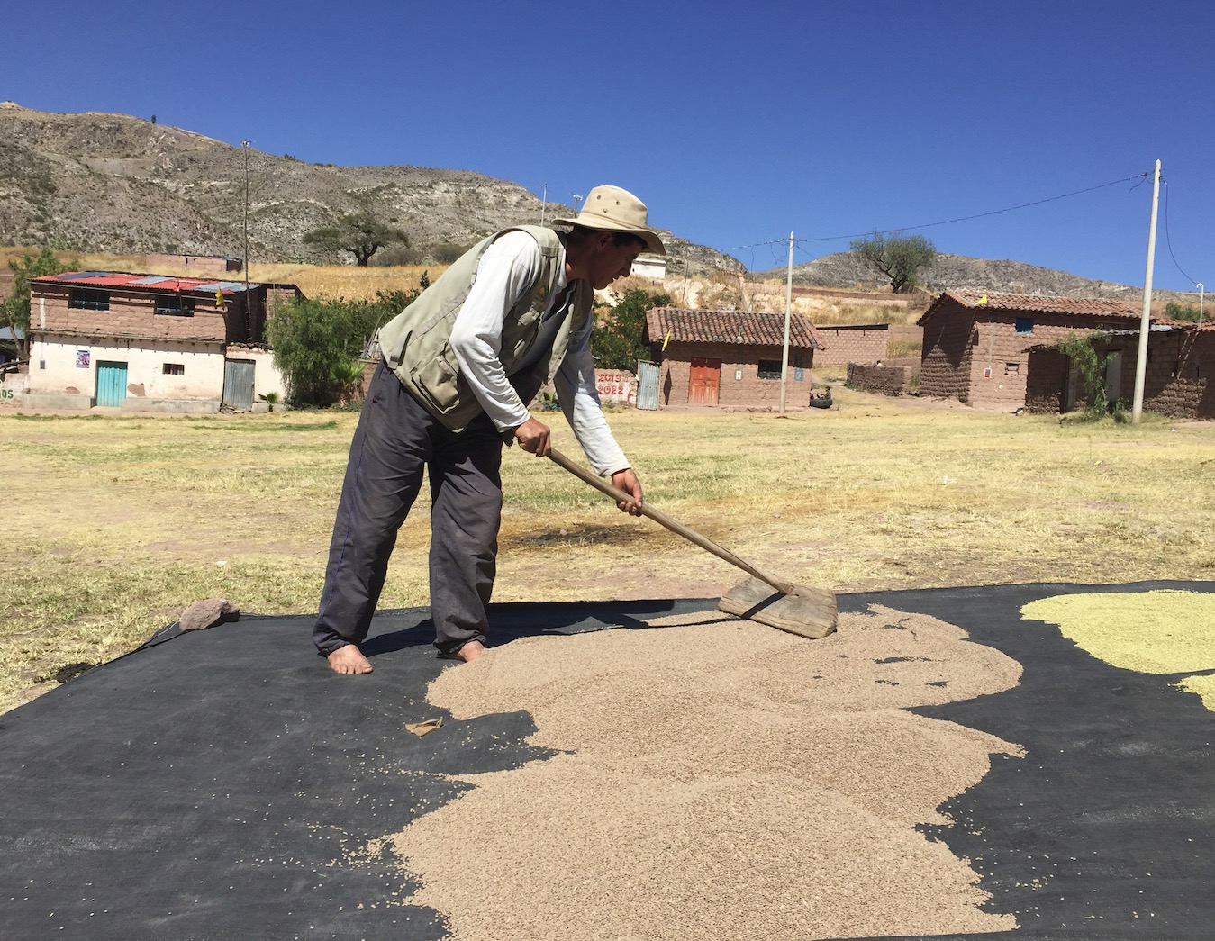 frutos del andes amarante bio équitable