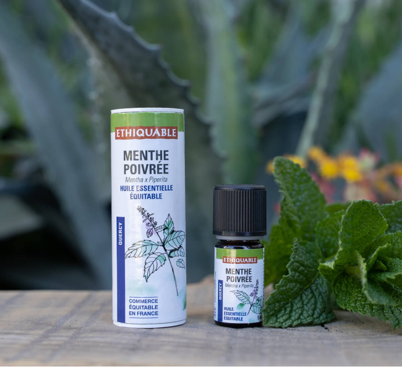 Menthe poivrée – Huile essentielle 100% pure et naturelle