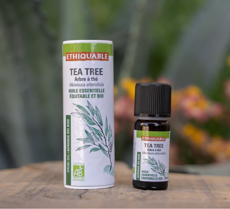 Huile essentielle Tea tree, Arbre à thé - Certifiée Bio HECT