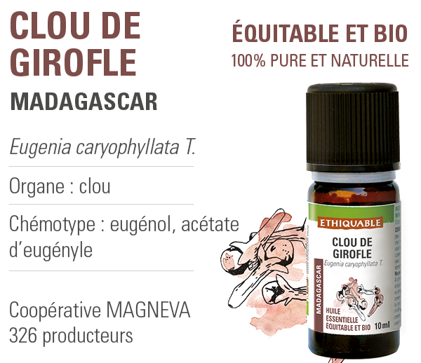 HUILE VEGETALE A L' HUILE ESSENTIELLE DE GIROFLE 60 ML