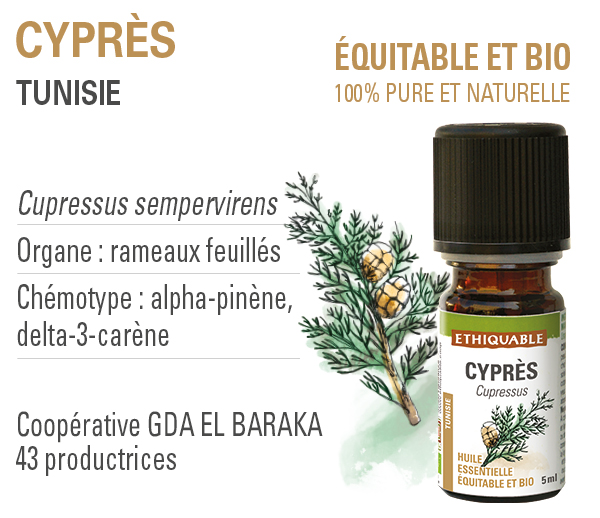 Huile essentielle de Cyprès - 100% pure et naturelle - équitable & bio