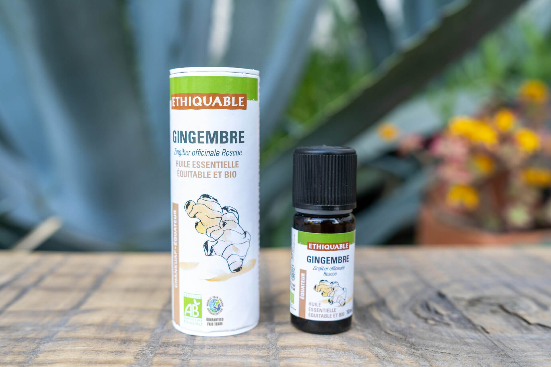 Huile essentielle de Gingembre - 100% pure et naturelle