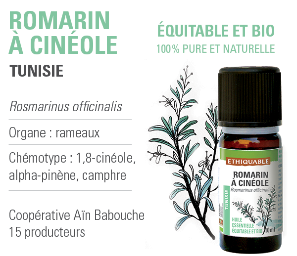 Huile Essentielle de Romarin à Cinéole BIO, Utilisation de l'Huile  Essentielle de Romarin