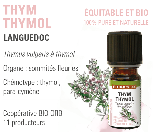 huile essentielle thym thymol ethiquable bio équitable