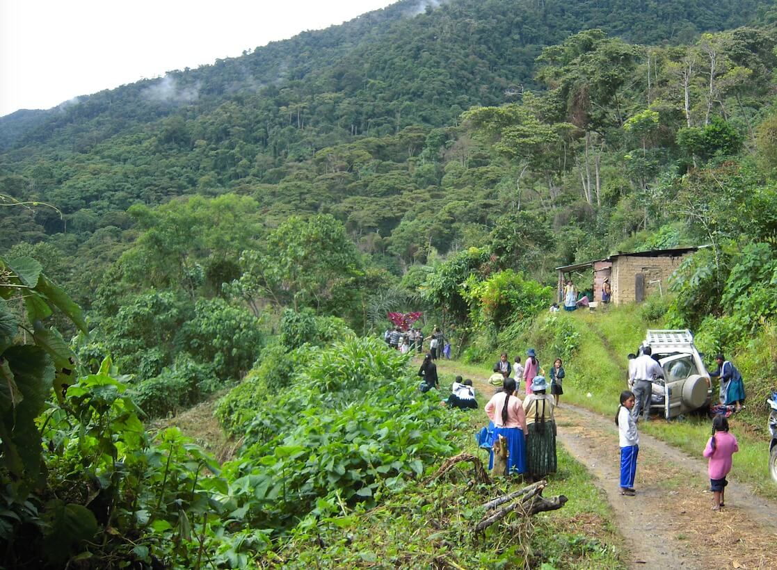 illampu café bolivie bio commerce équitable