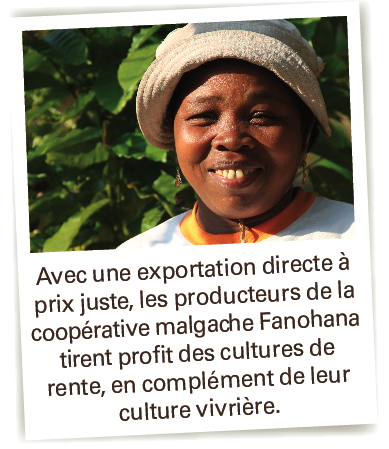 coopérative fanohanna gingembre