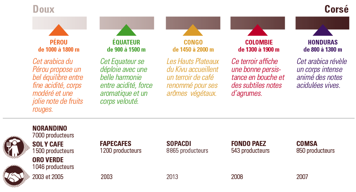 Capsules de café : 5 bonnes raisons de les acheter biodégradables