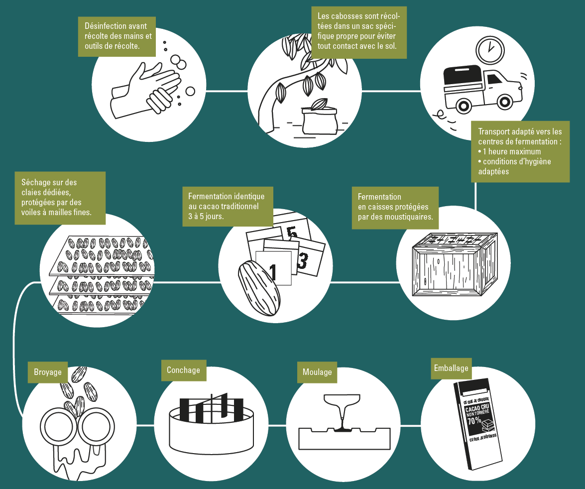 infographie cacao cru fabrication