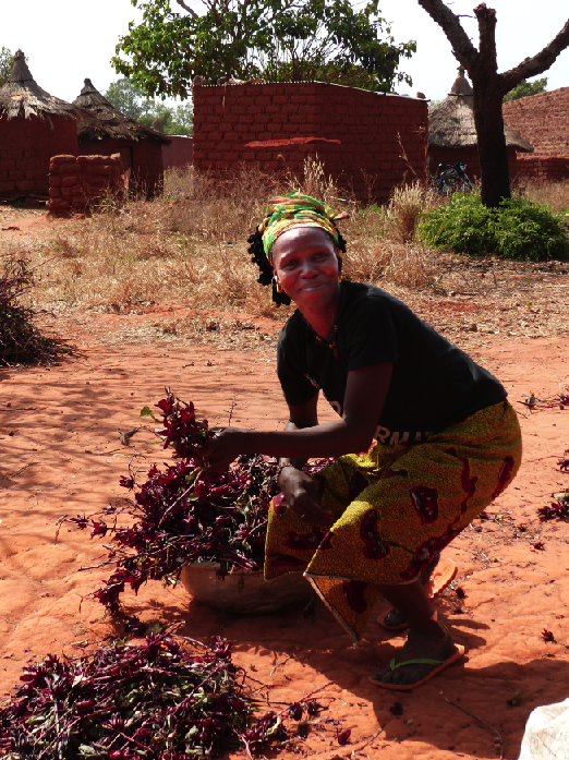 coopake ethiquable burkina hibiscus