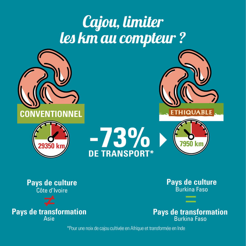 Impact du transport du noix de cajou