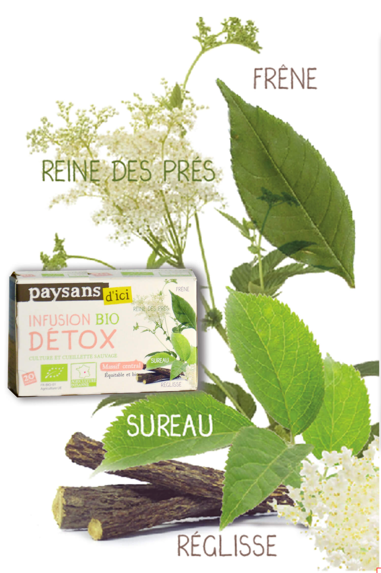 infusion détox bio equitable ethiquable