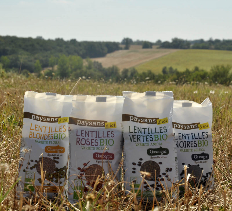 lentilles-france-equitable-bio