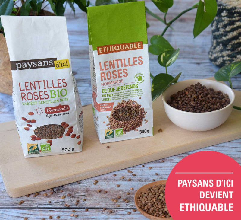 lentille rose paysans dici devient ethiquable