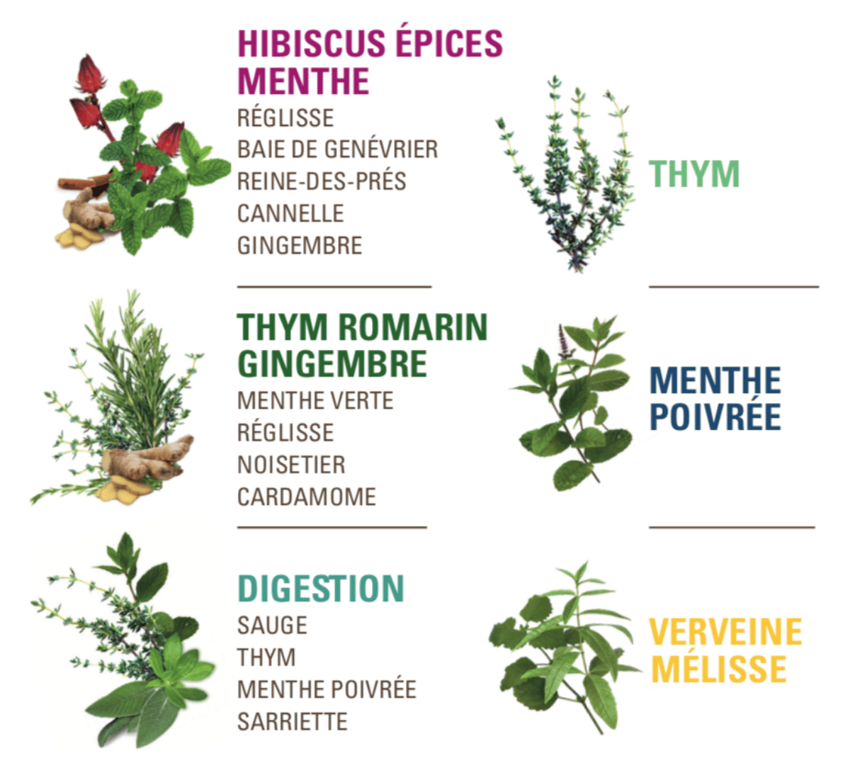 Liste d'infusion de plantes aromatiques du coffret équitable et bio