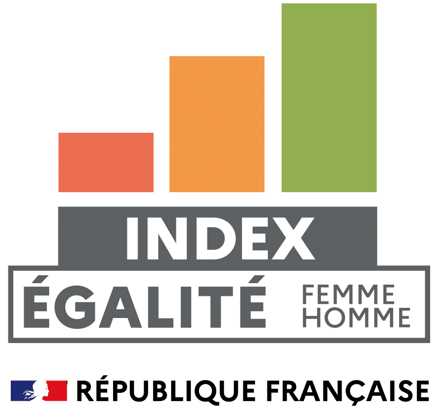 logo-index-egalite-professionnelle