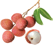 nectar de litchi ethiquable bio équitable