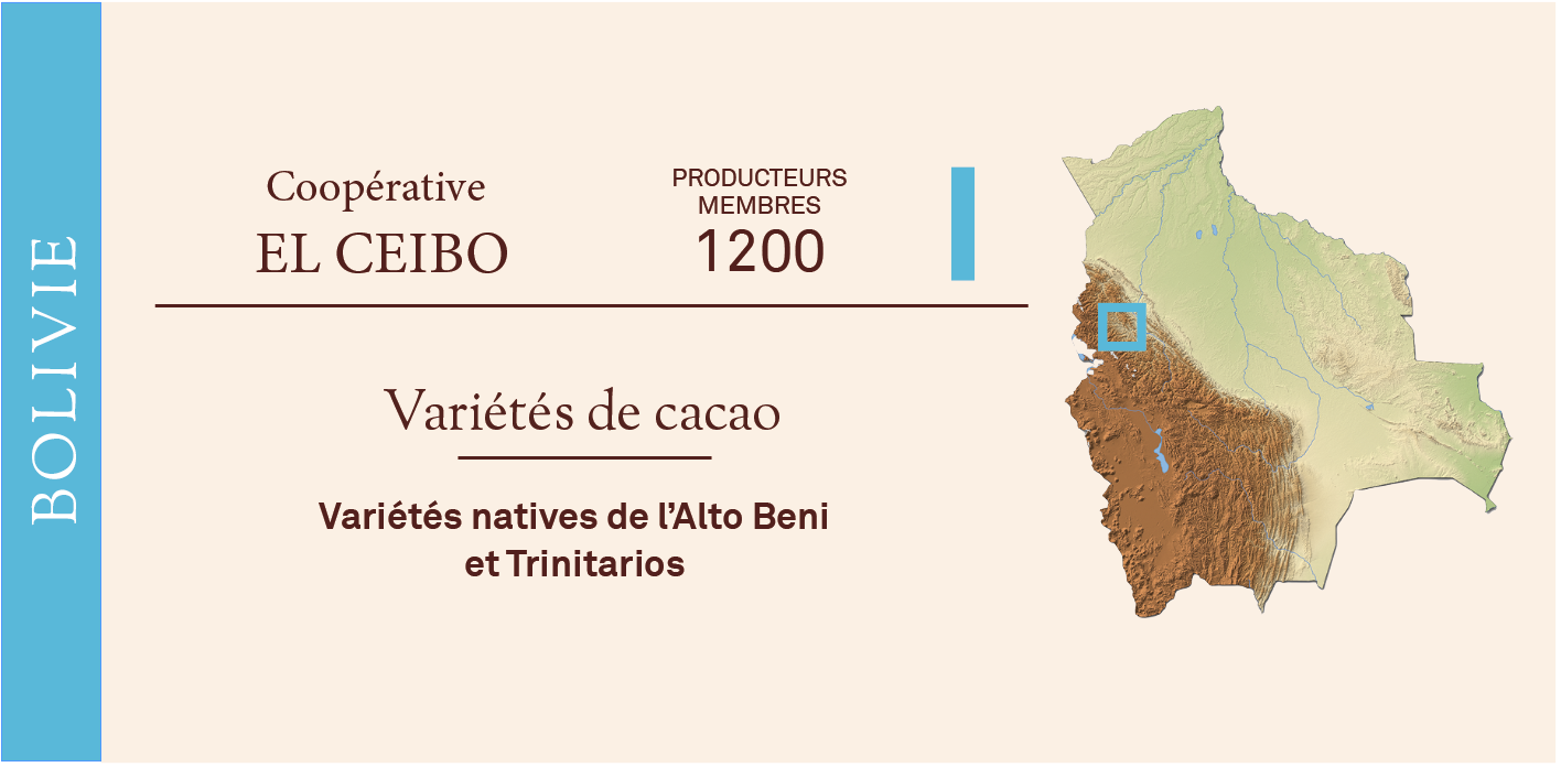 Origine Bolivie La cacaosphère bio équitable