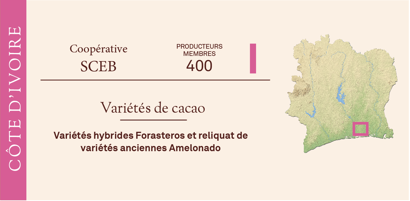 Origine Côte d'ivoire La cacaosphère bio équitable